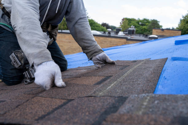 Best Roof Leak Repair  in Jekyll Island, GA
